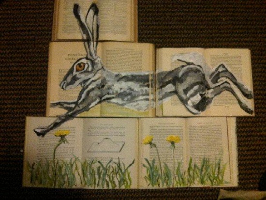 Run Rabbit Run by Jason Hardung