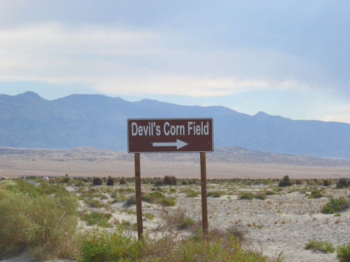 Devil's Corn Field Photograph by Jessica Bahlman