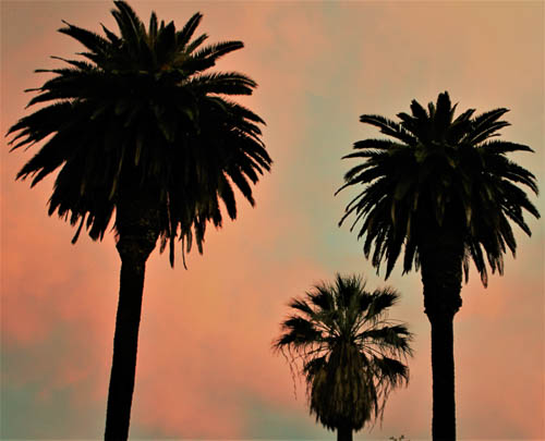 California Sky by Frank Dixon Graham