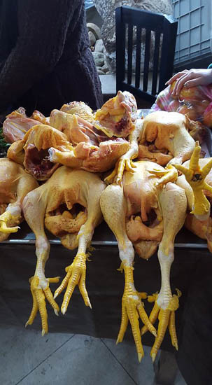 Pile of Chickens by Lara Gularte 