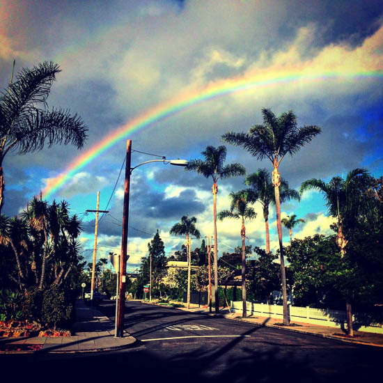 Rainbow by Rosario Romero