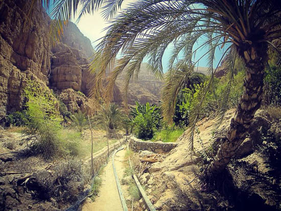 WADI SHAB by Baxter Jackson