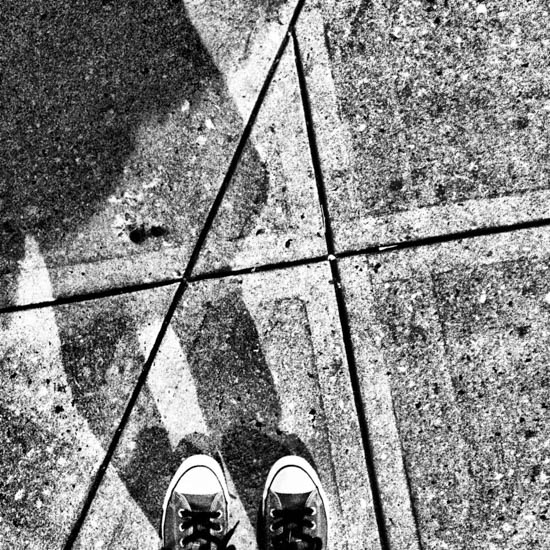 Anarchy's Shadow by Allyson Seconds