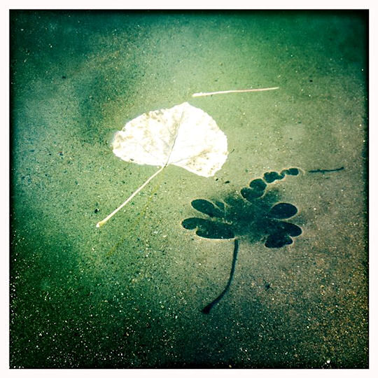 Photograph by Allyson Seconds
