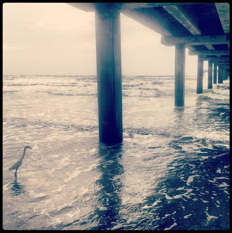 Horace Caldwell Pier by Baxter Jackson