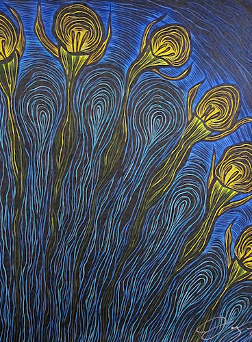 Hood Petticoat Daffodil by Jarrett Bywaters