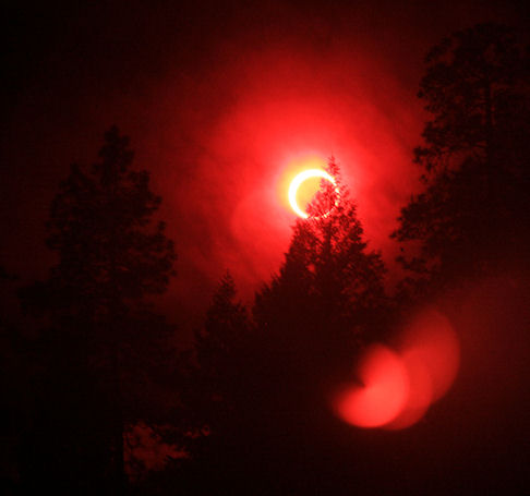 Solar Eclipse by Katy Brown