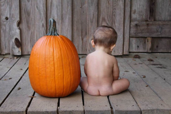 Pumpkins by Rosario Romero