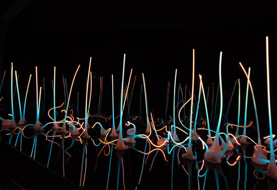 Chihuly Garden and Glass by Ruben Briseno Reveles