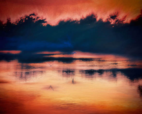 Photograph by Ruben Briseno Reveles