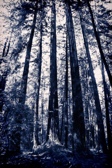Photograph by Ruben Briseno Reveles