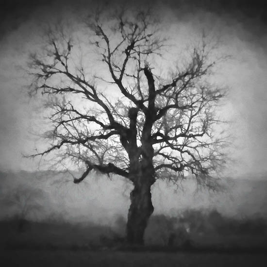 Photograph by Ruben Briseno Reveles