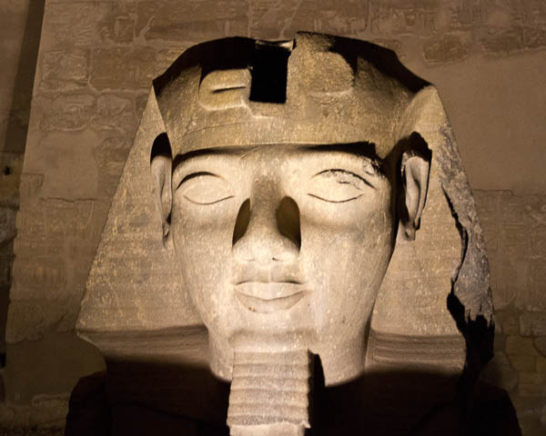 Ramses by Samantha Cox-Colborn
