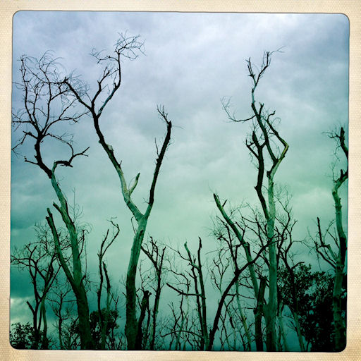 Photograph by Allyson Seconds