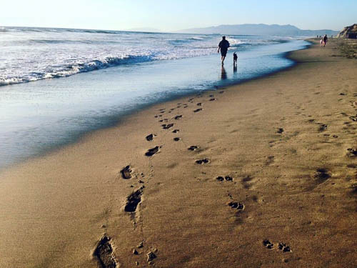 Photograph by Allyson Seconds