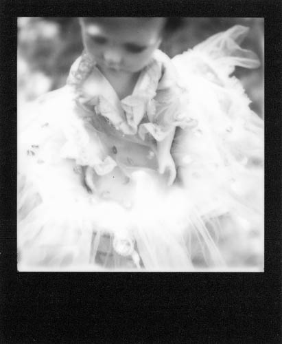 Dolly by Stephanie Lakos