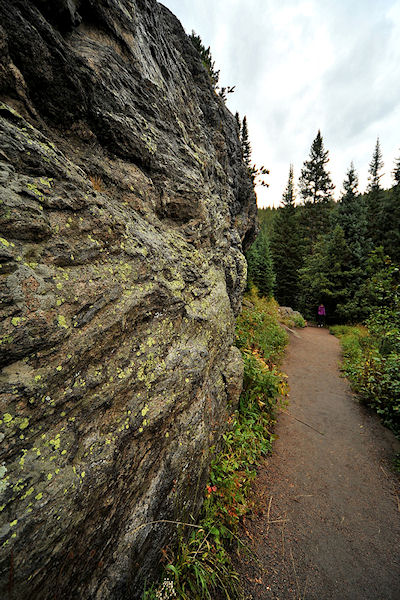 Bear Lake Trail by Brenda Yamen