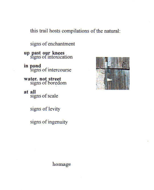 Poem by Chris Turnbull