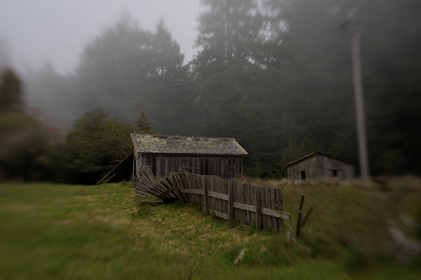 SEBASTOPOL by Myles Boisen