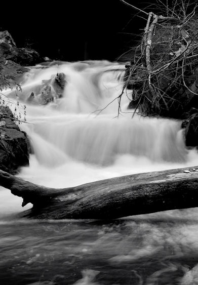 YOSEMITE by Brenda Yaman