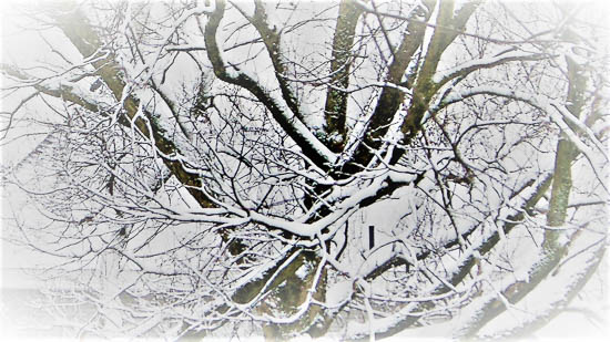 WHITE BLANKET by Kelly Sullivan